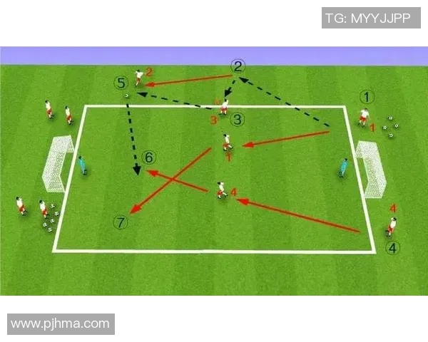 赵敏独家揭秘:足球技巧与战术深度解析分享