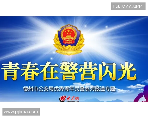 重磅专题:探索V5反击革新背后的技术与策略变革