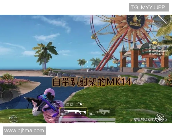 和平精英战术解析：深入探讨WE战队的边路渗透策略与执行