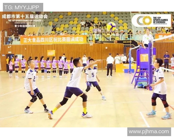 排球盛宴：深入解析成都排球队的战术布局与团队协作