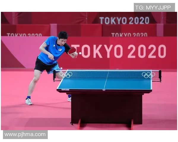 成都乒乓球队耐力对比深度解析与训练策略探讨